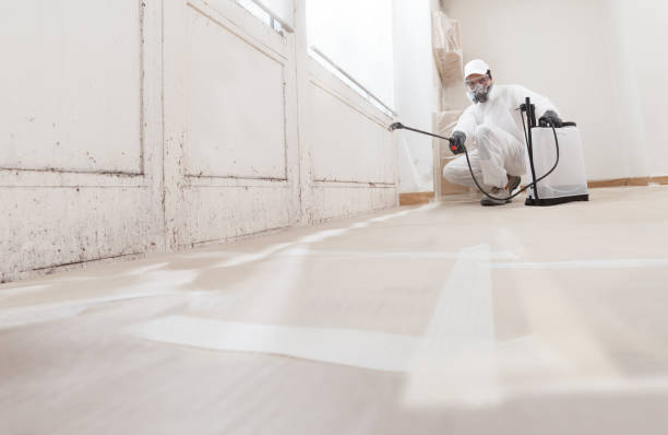 24/7 Emergency Mold Remediation experts in Buckley, WA